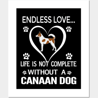 Canaan Dog Lovers Posters and Art